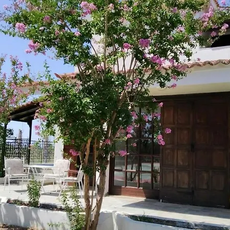 Zen Kourouta Villa